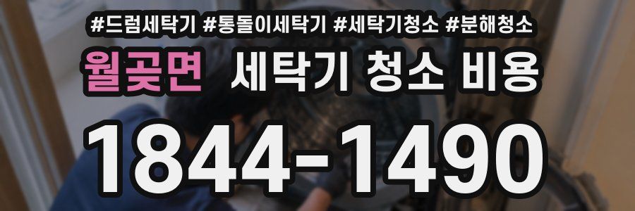 월곶면 세탁기 청소 비용