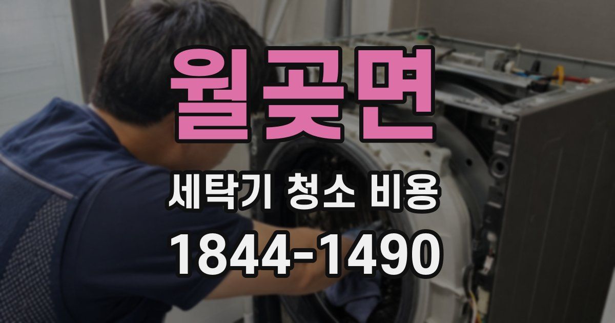 월곶면 세탁기 청소 비용
