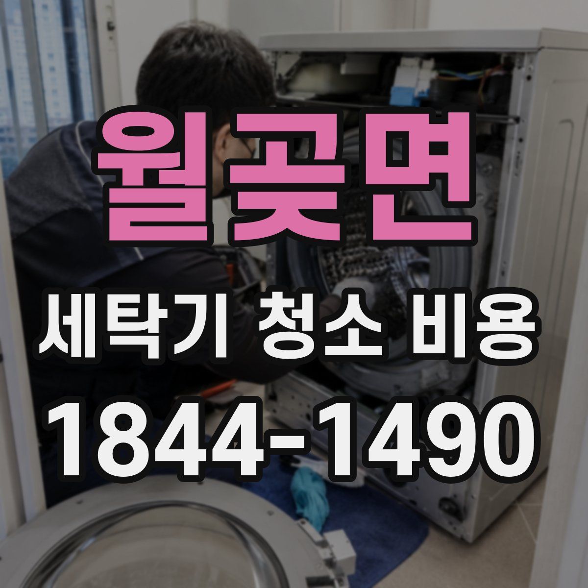 월곶면 세탁기 청소 비용