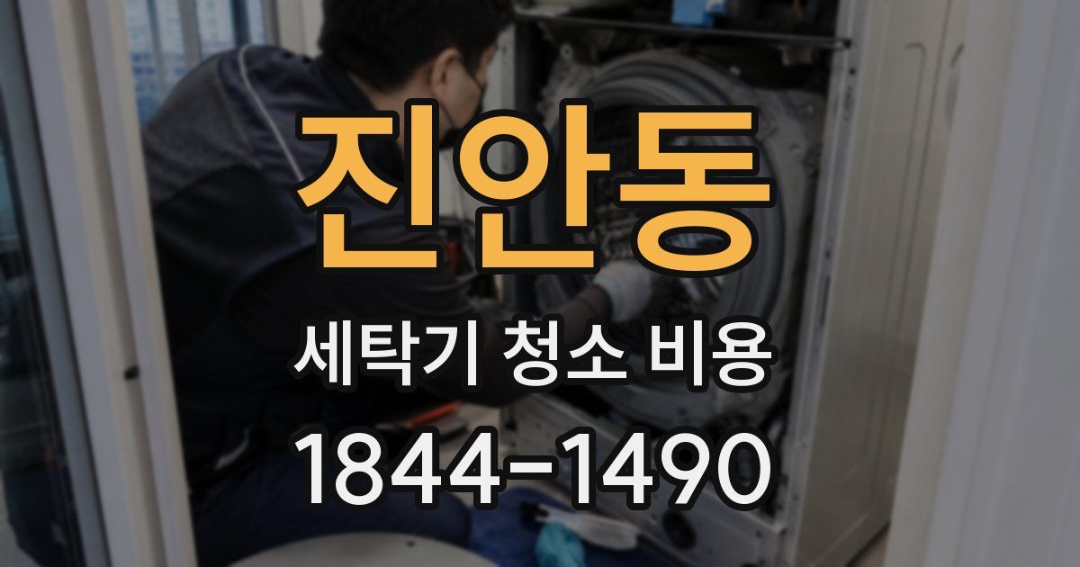 진안동 세탁기 청소 비용