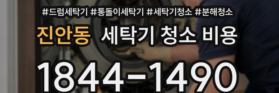 진안동 세탁기 청소 비용