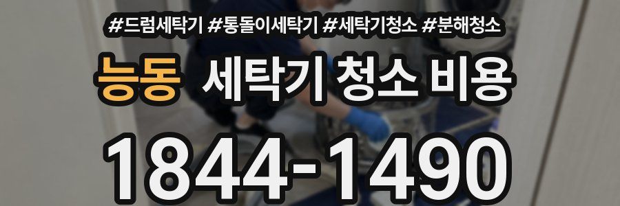 능동 세탁기 청소 비용