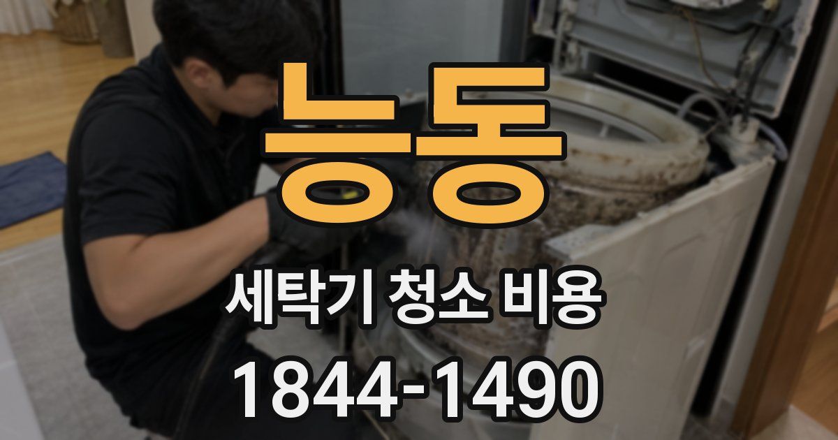 능동 세탁기 청소 비용