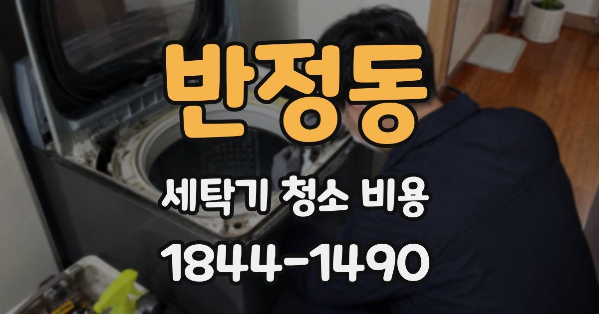 반정동 세탁기 청소 비용