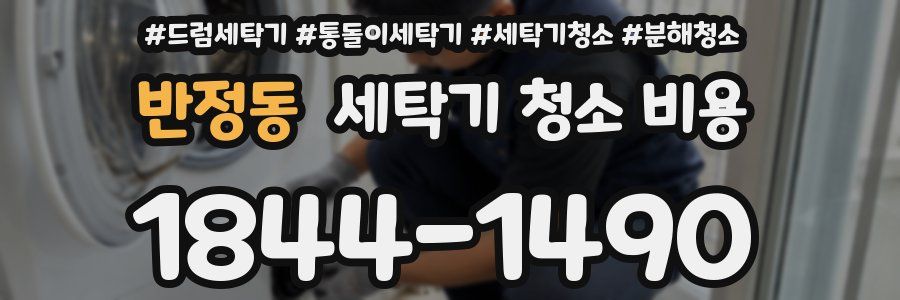 반정동 세탁기 청소 비용