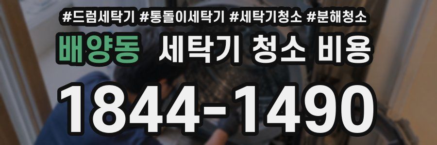 배양동 세탁기 청소 비용