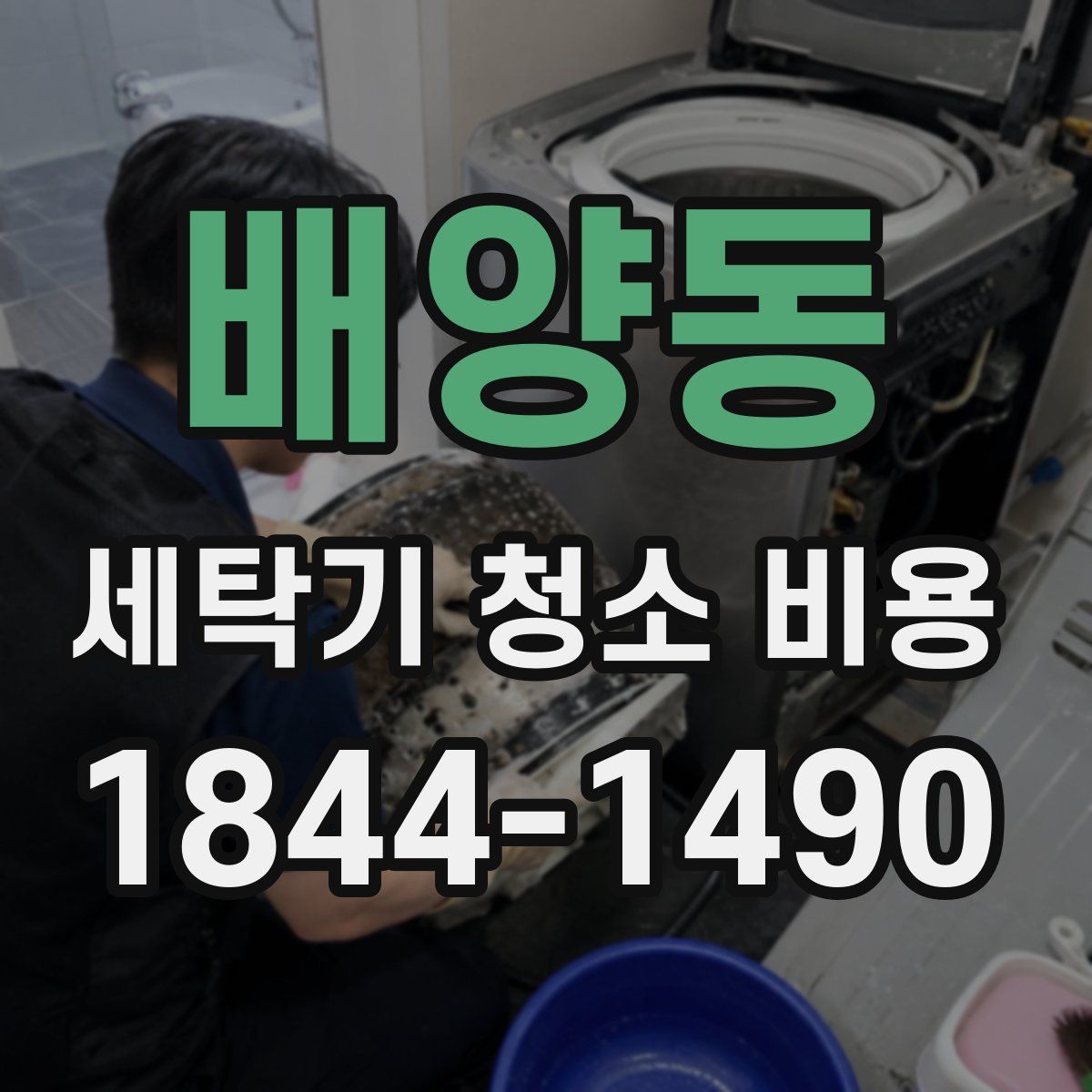 배양동 세탁기 청소 비용