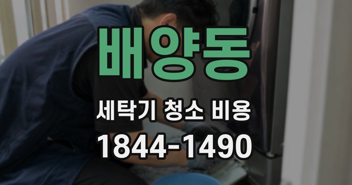 배양동 세탁기 청소 비용