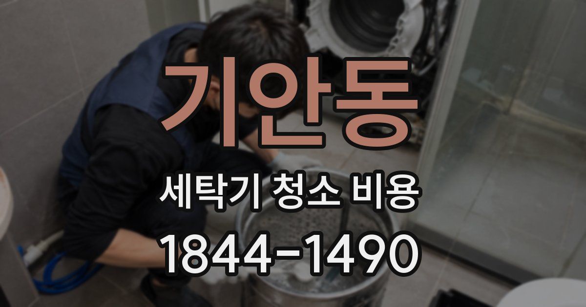 기안동 세탁기 청소 비용