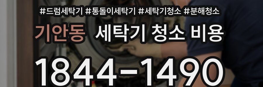 기안동 세탁기 청소 비용