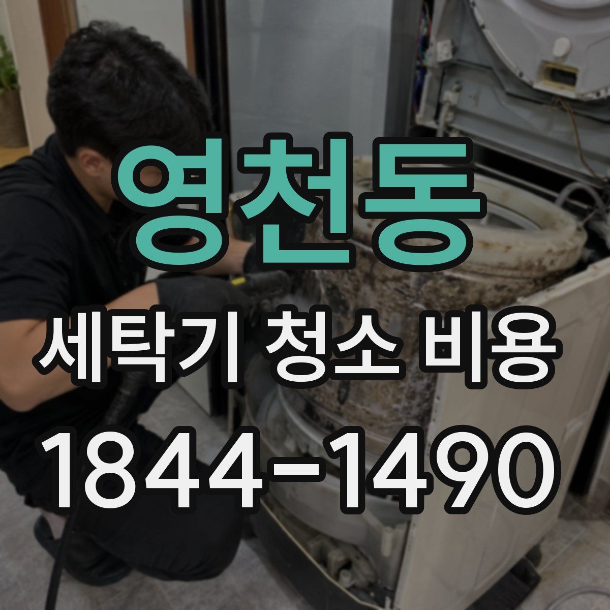 영천동 세탁기 청소 비용