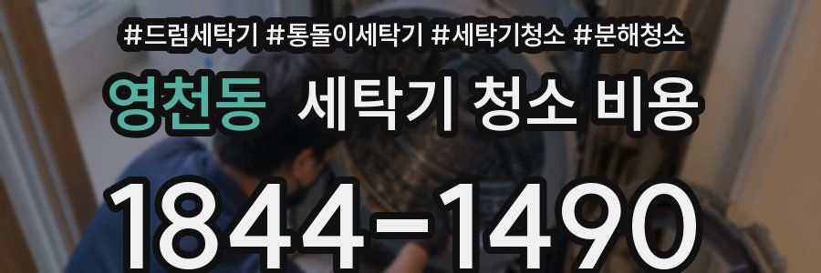 영천동 세탁기 청소 비용