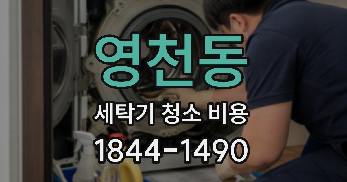 영천동 세탁기 청소 비용