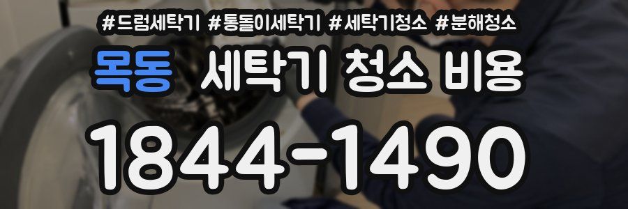 목동 세탁기 청소 비용