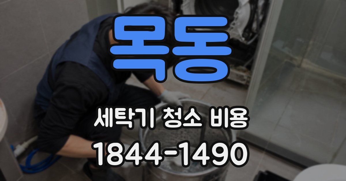 목동 세탁기 청소 비용