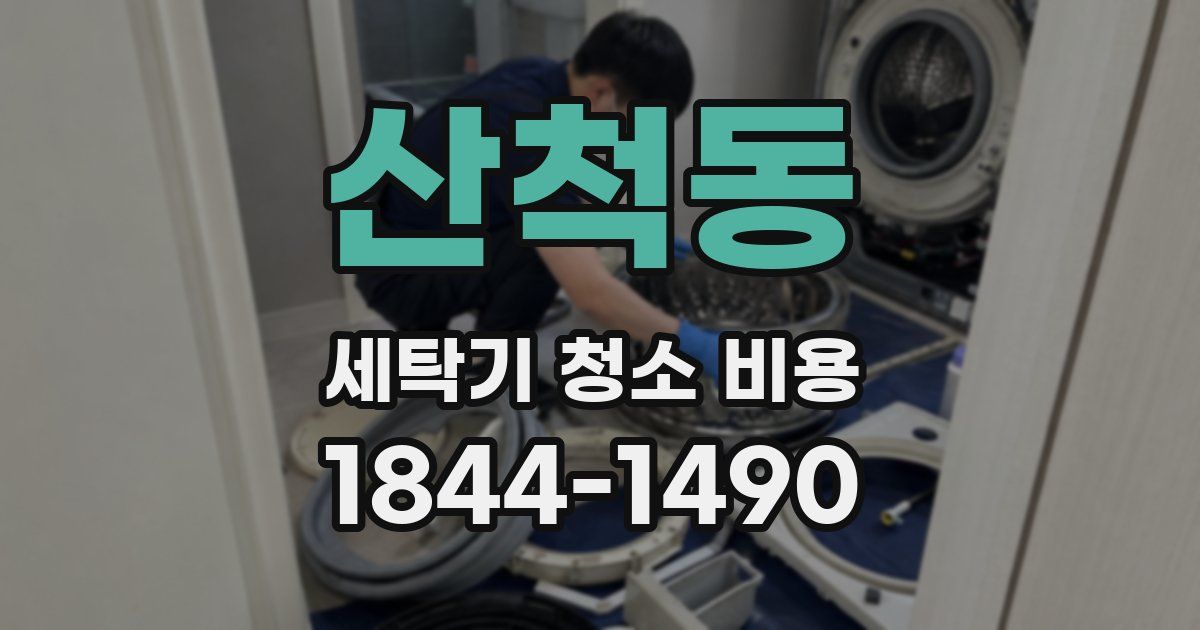 산척동 세탁기 청소 비용