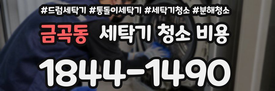 금곡동 세탁기 청소 비용