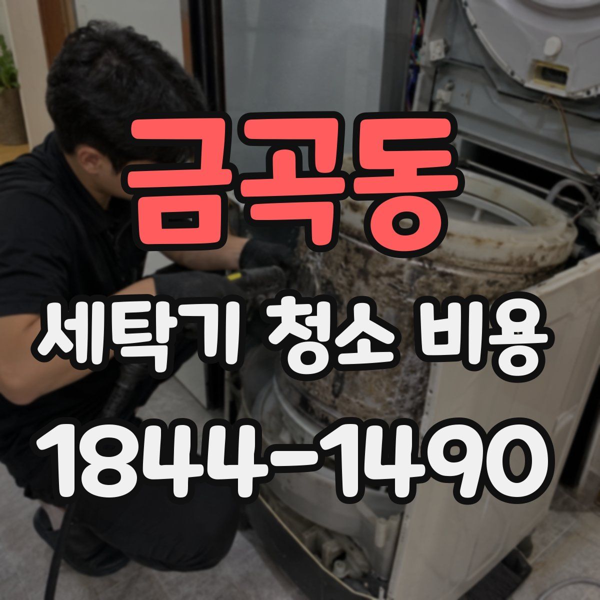 금곡동 세탁기 청소 비용