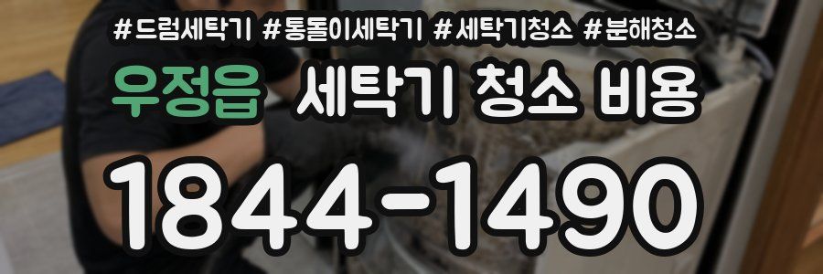 우정읍 세탁기 청소 비용