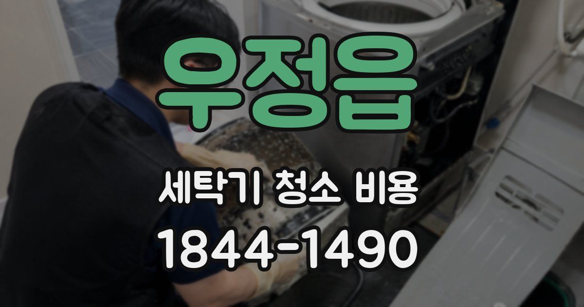 우정읍 세탁기 청소 비용