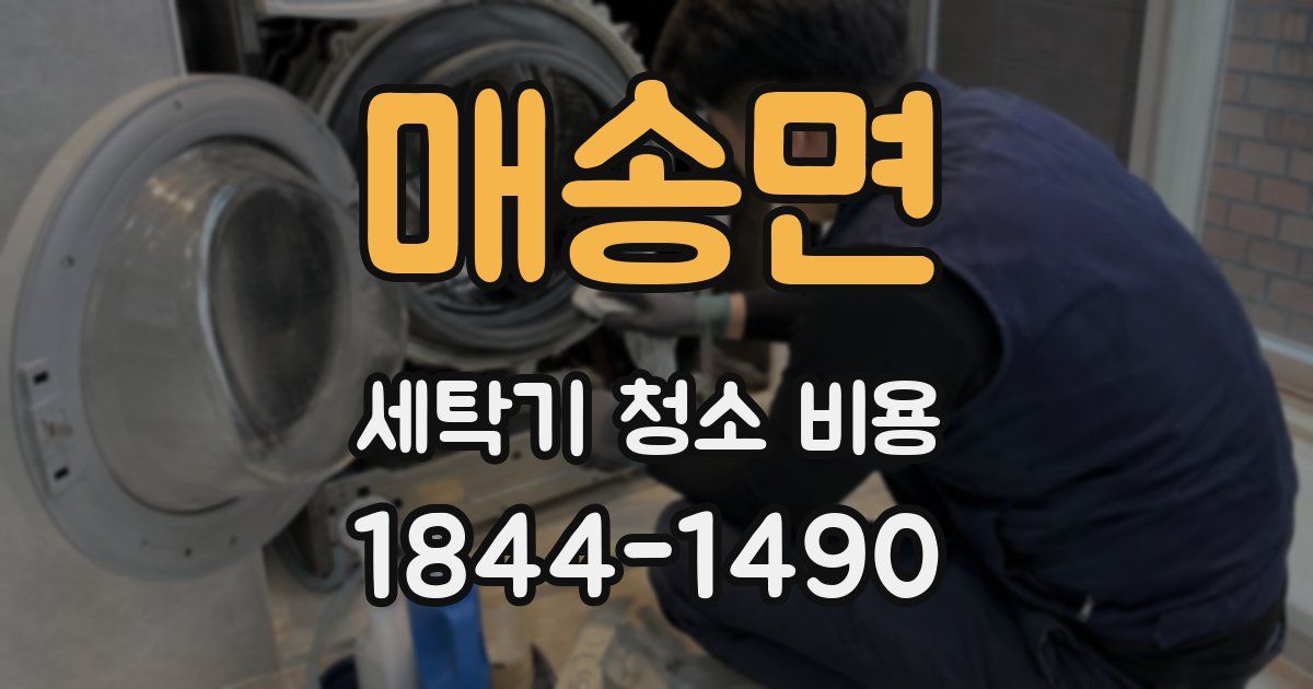 매송면 세탁기 청소 비용