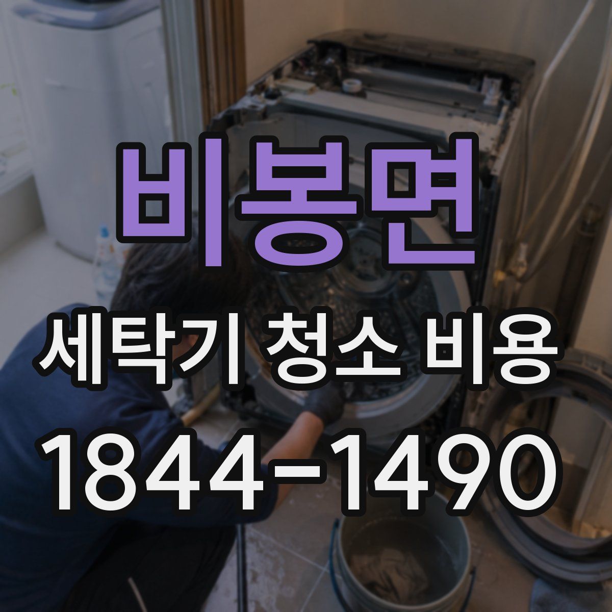 비봉면 세탁기 청소 비용