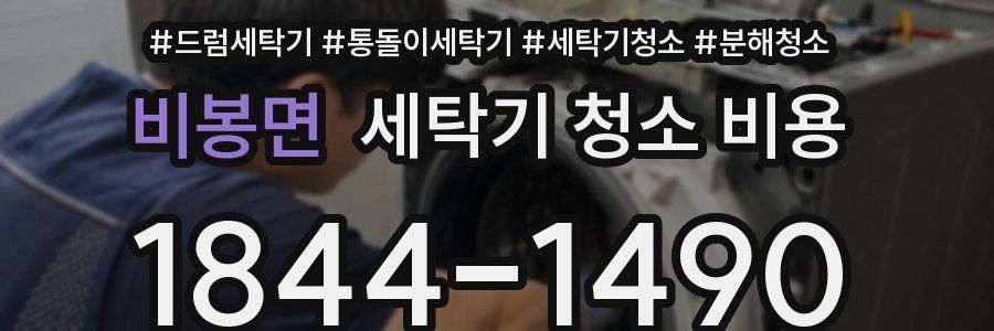 비봉면 세탁기 청소 비용