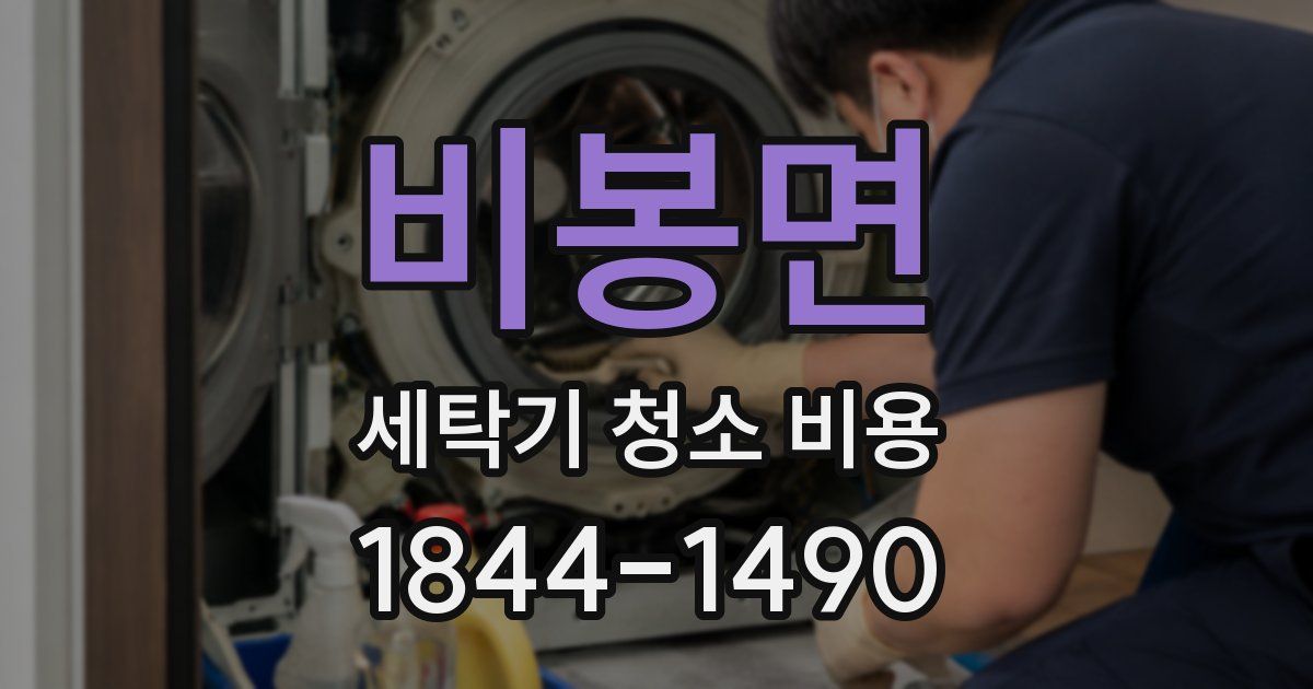 비봉면 세탁기 청소 비용