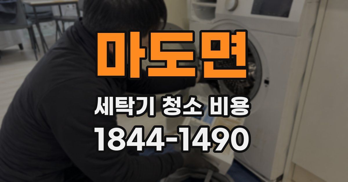 마도면 세탁기 청소 비용