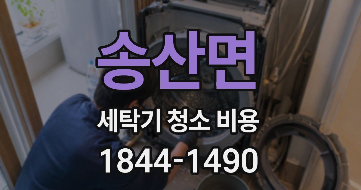 송산면 세탁기 청소 비용