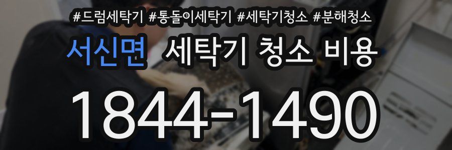 서신면 세탁기 청소 비용