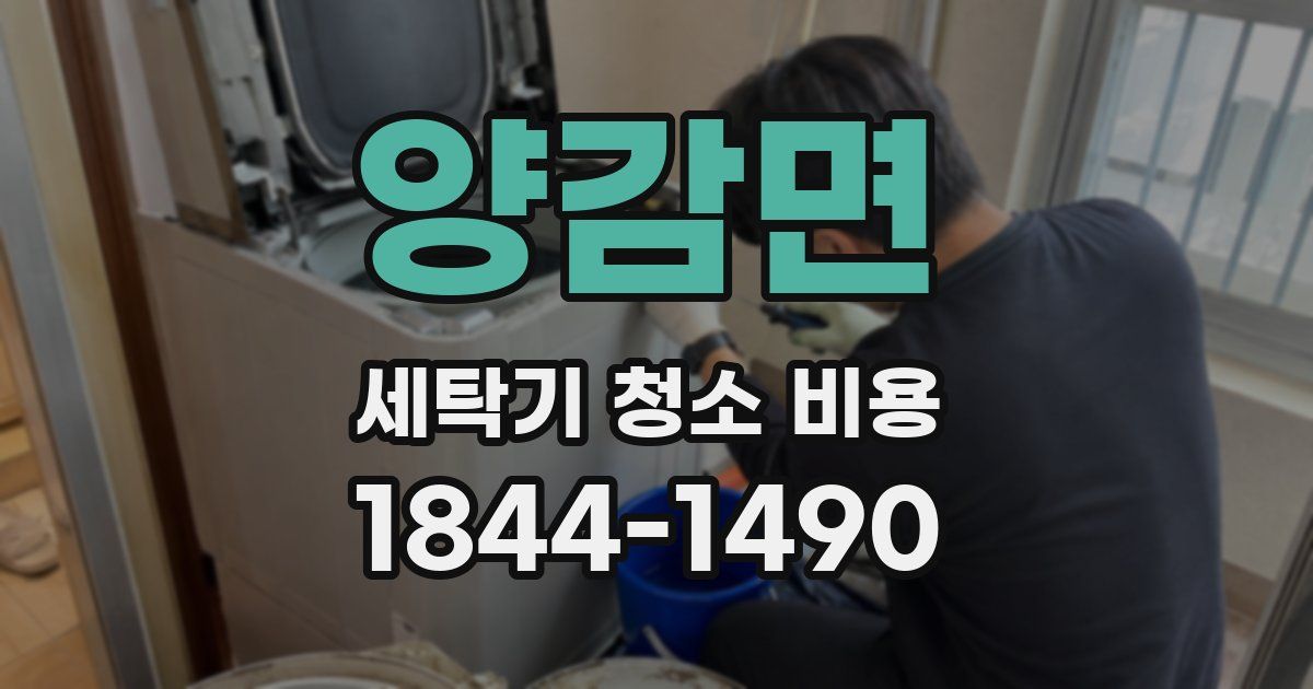 양감면 세탁기 청소 비용