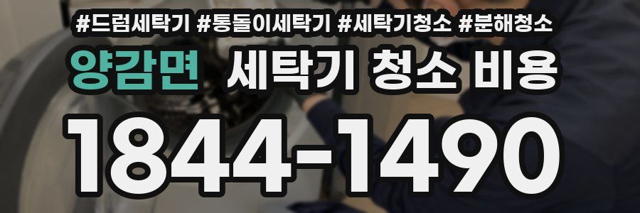 양감면 세탁기 청소 비용