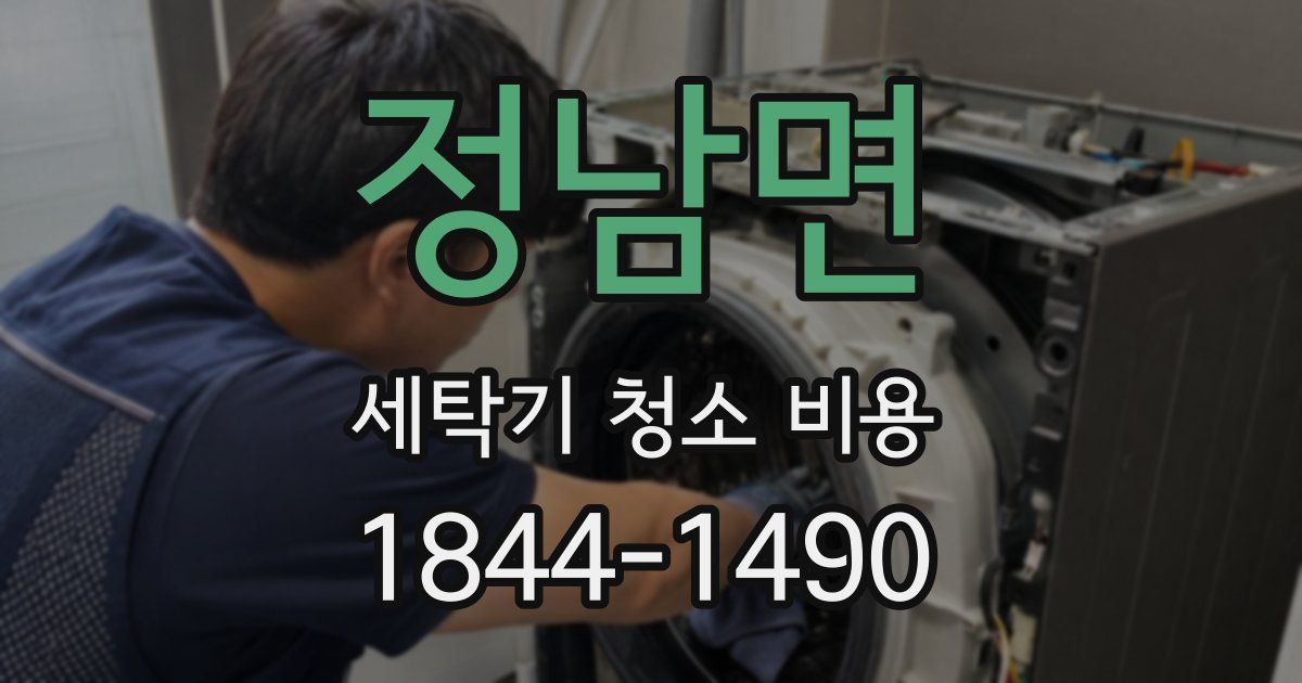 정남면 세탁기 청소 비용