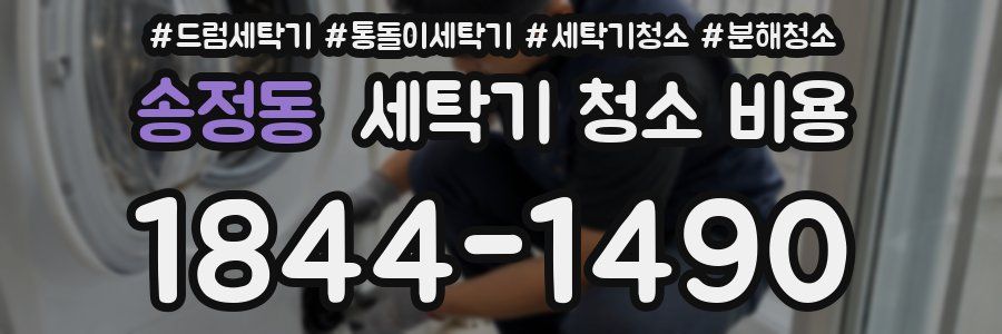 송정동 세탁기 청소 비용