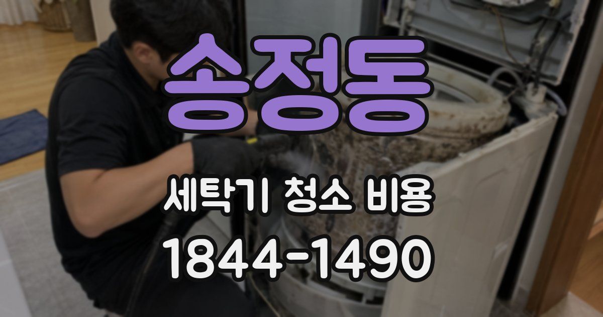 송정동 세탁기 청소 비용