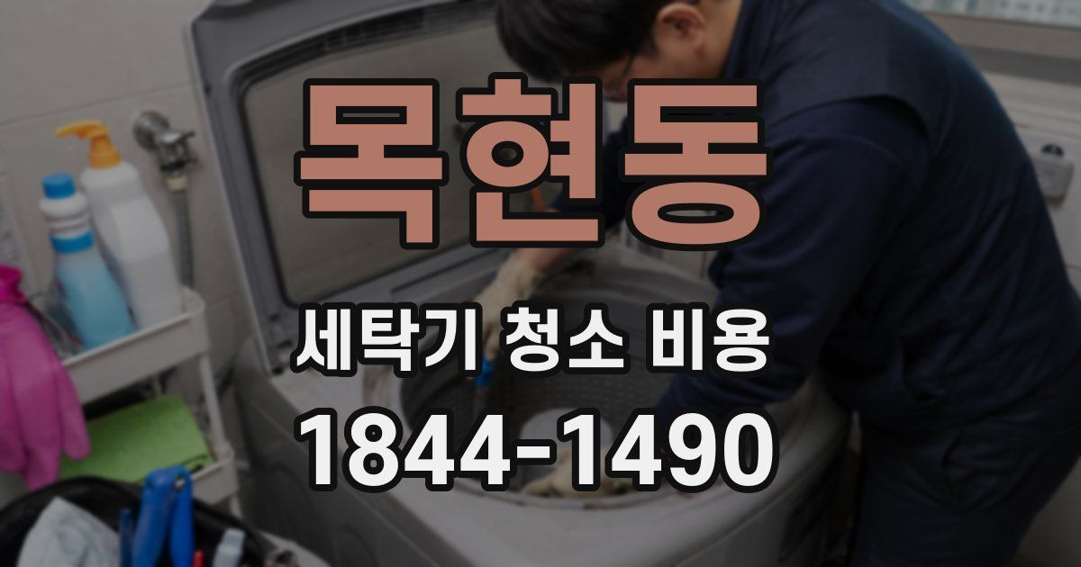 목현동 세탁기 청소 비용