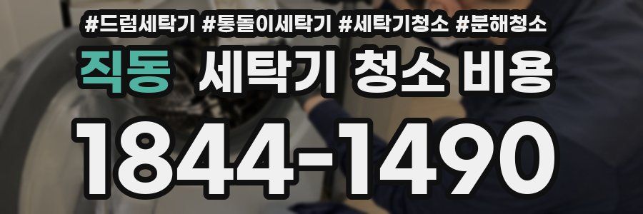 직동 세탁기 청소 비용