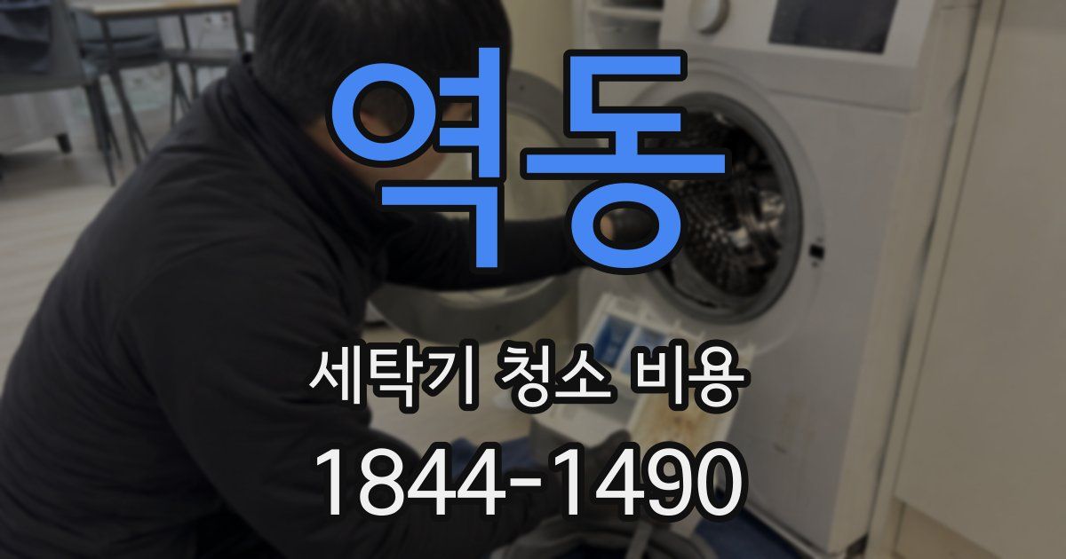 역동 세탁기 청소 비용