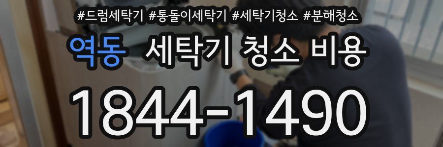 역동 세탁기 청소 비용