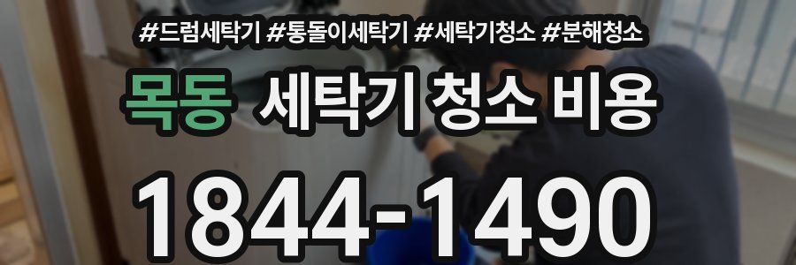 목동 세탁기 청소 비용