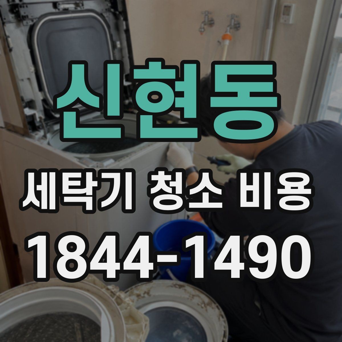 신현동 세탁기 청소 비용 곰팡이와 물때가 많을 때 작업 범위