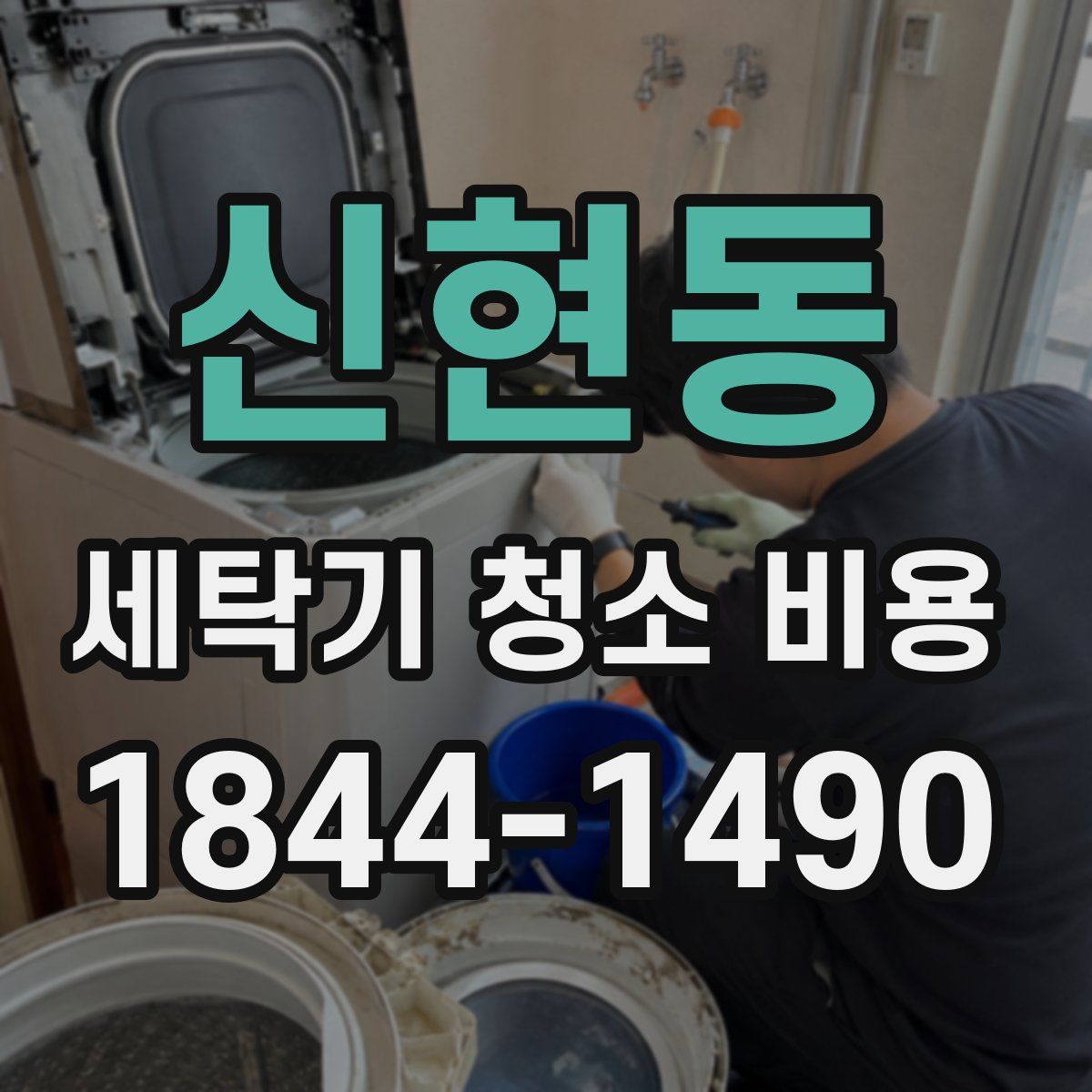 신현동 세탁기 청소 비용