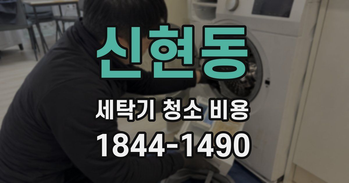 신현동 세탁기 청소 비용