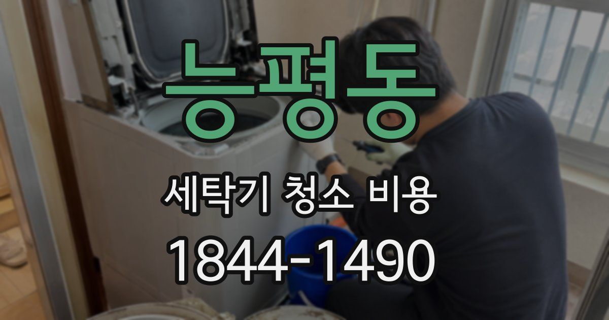 능평동 세탁기 청소 비용