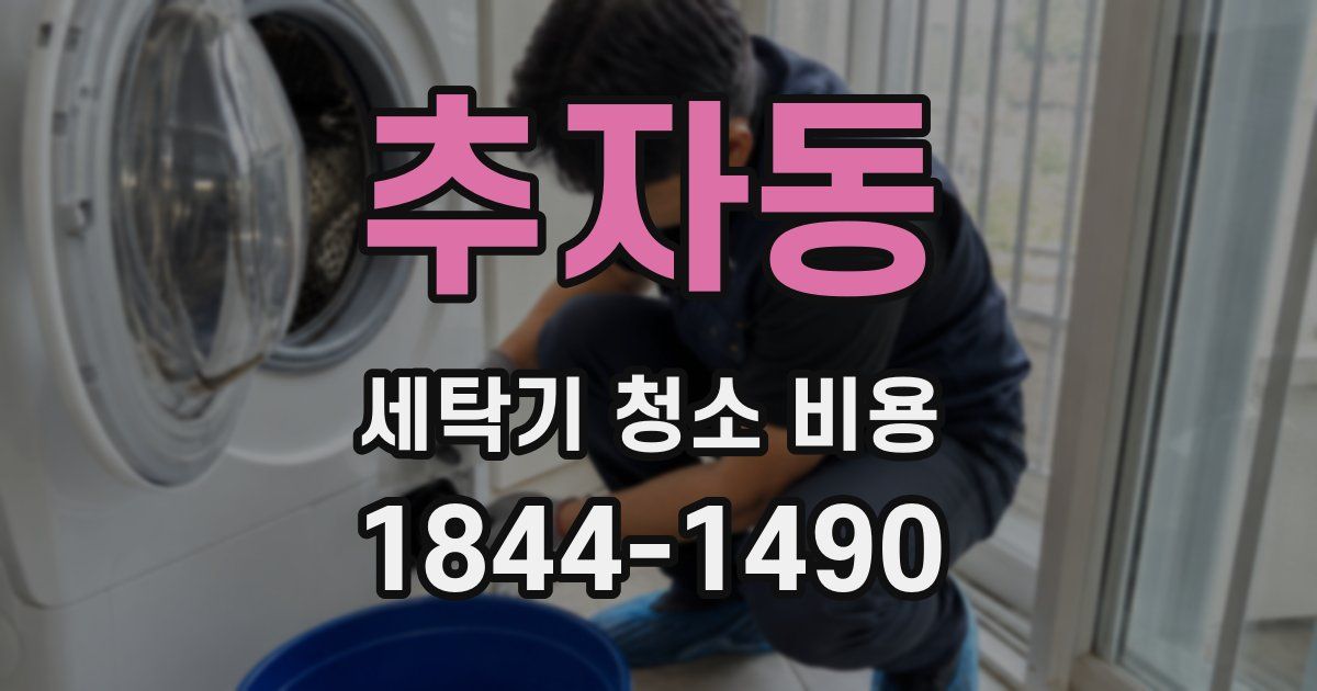 추자동 세탁기 청소 비용