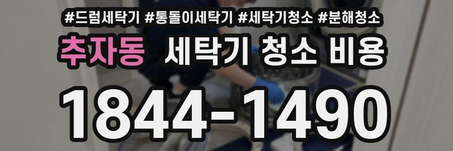 추자동 세탁기 청소 비용