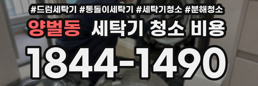 양벌동 세탁기 청소 비용