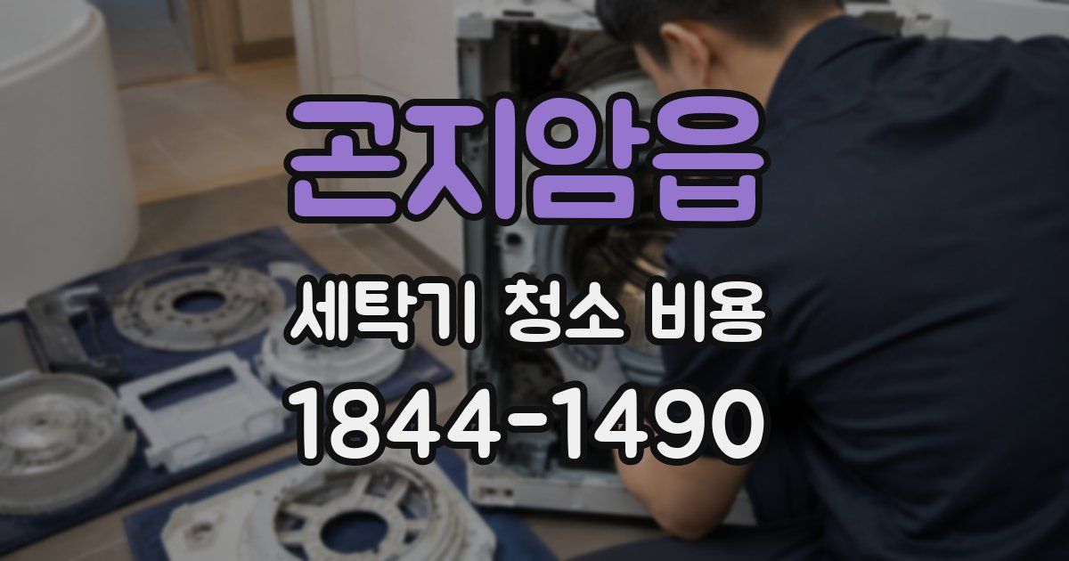곤지암읍 세탁기 청소 비용