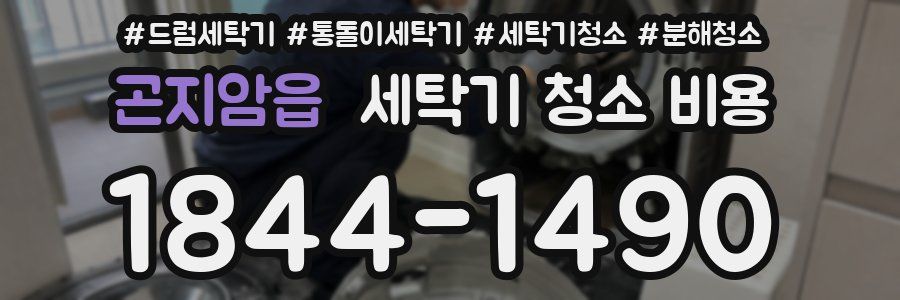 곤지암읍 세탁기 청소 비용